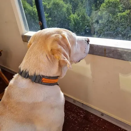 Null Haus Fw7, Whg Fw7 39