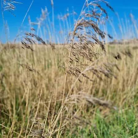 Appartement Null Haus Fw7, Whg Fw7 39 *