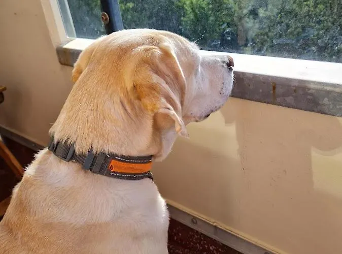 Null Haus Fw7, Whg Fw7 39