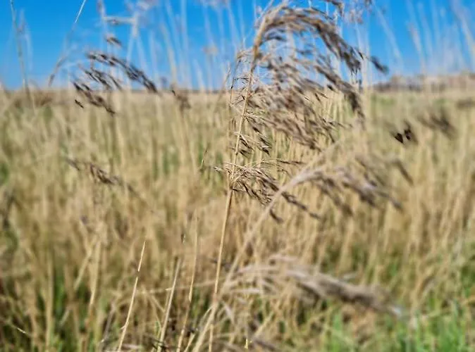 Appartement Null Haus Fw7, Whg Fw7 39 *