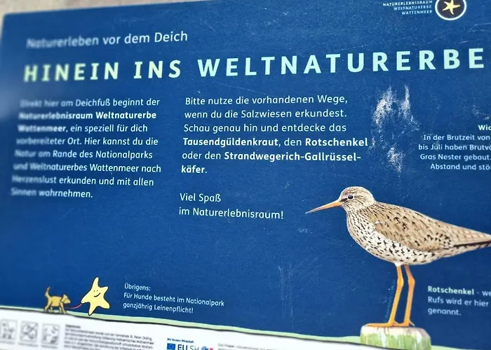 Null Haus Fw7, Whg Fw7 39 Böhl